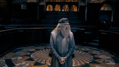 Dumbledore "unbelievable" gesture